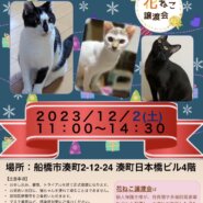 花ねこ譲渡会