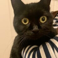 超超超超甘えんぼ♥ずっと愛して♥黒猫みちょぱ