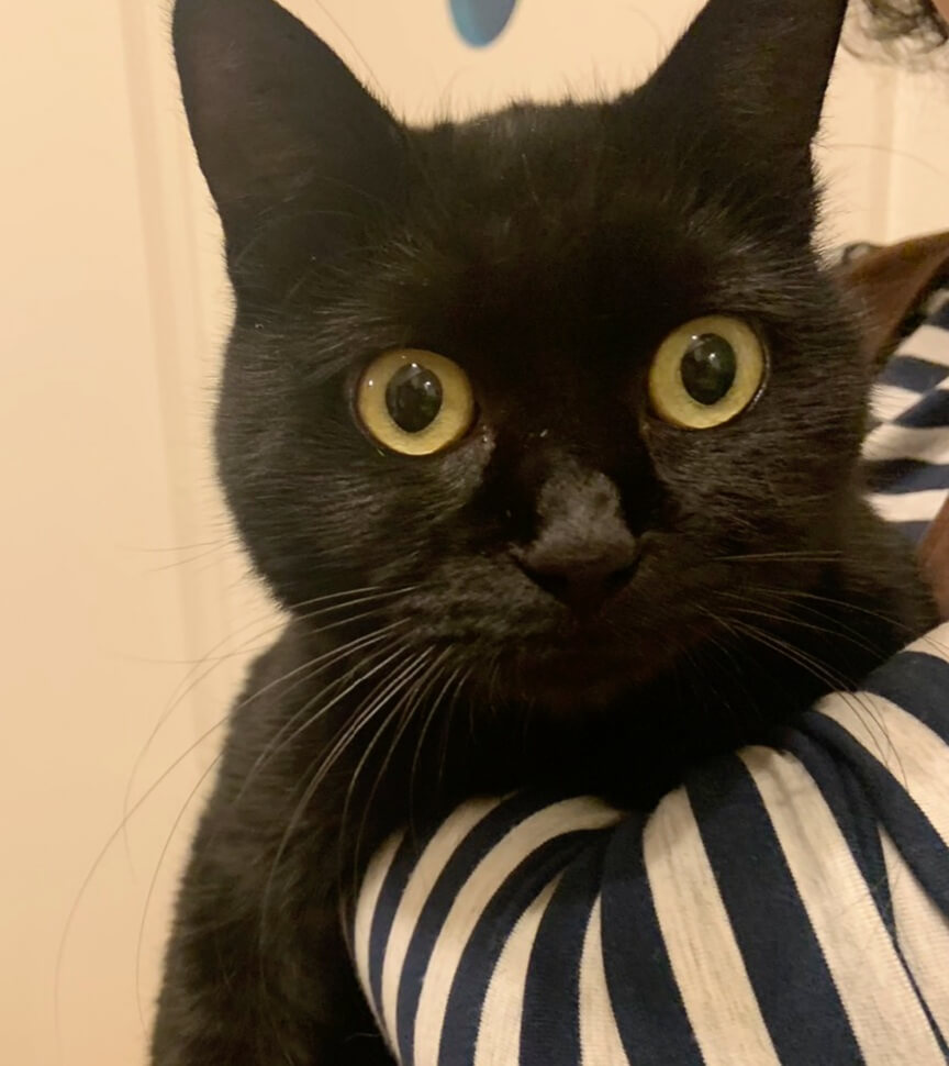 超超超超甘えんぼ♥ずっと愛して♥黒猫みちょぱ