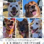 メガドンキ里親会