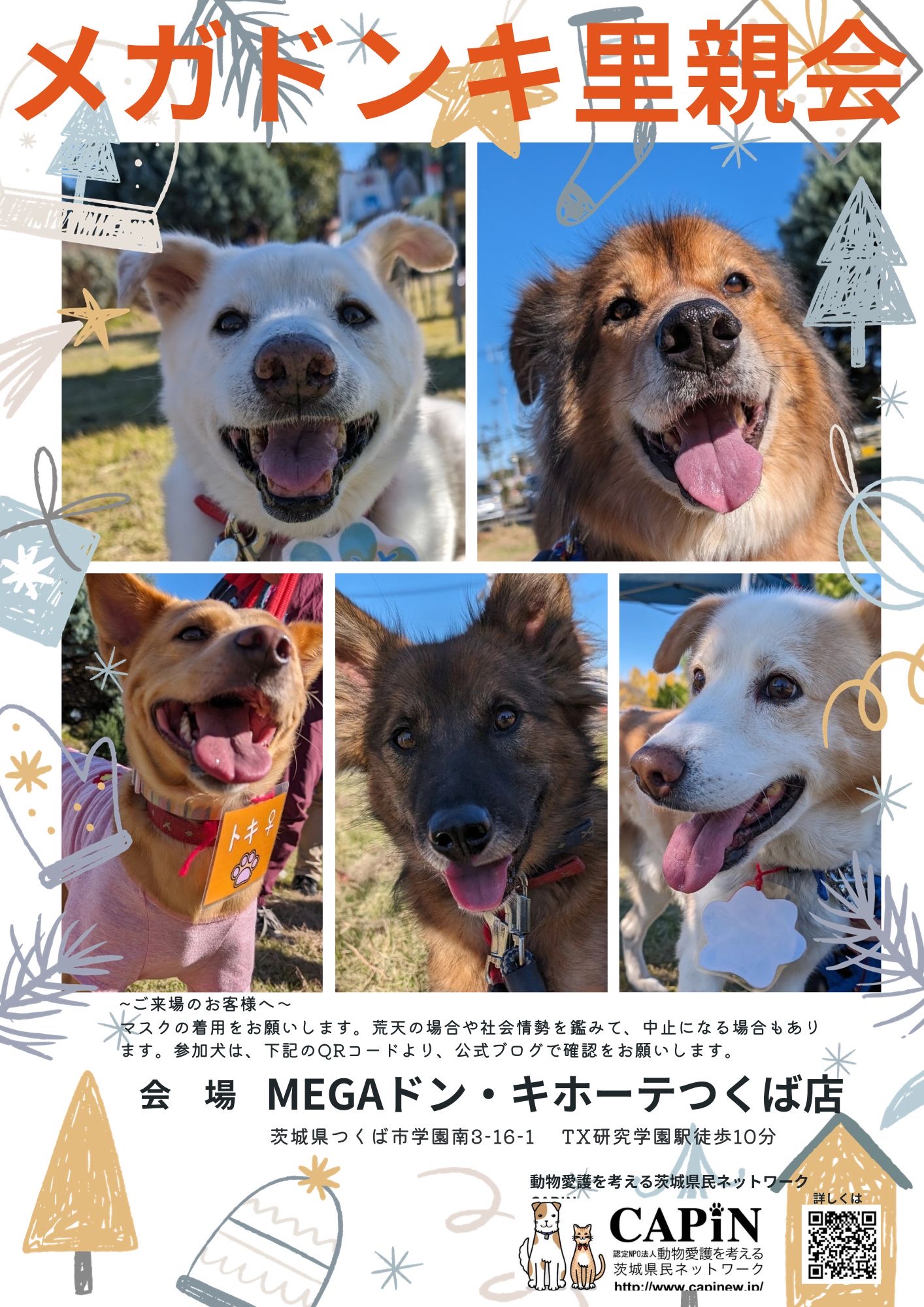 メガドンキ里親会