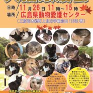 犬猫譲渡会