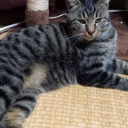 生後2年位(男の子)