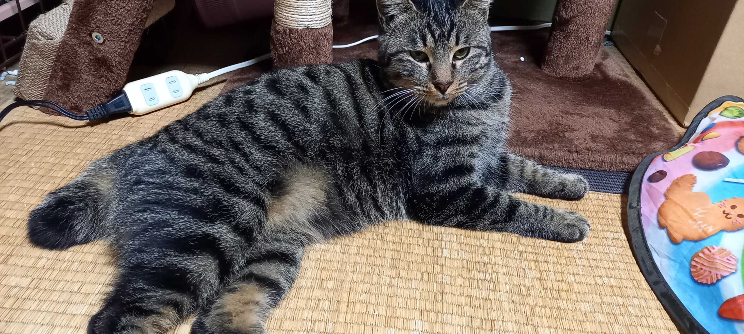 生後2年位(男の子)