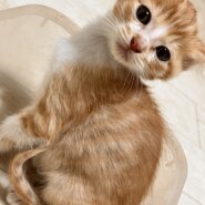 ★好奇心旺盛★