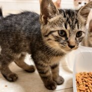 ★かわいいくてやんちゃなこ★