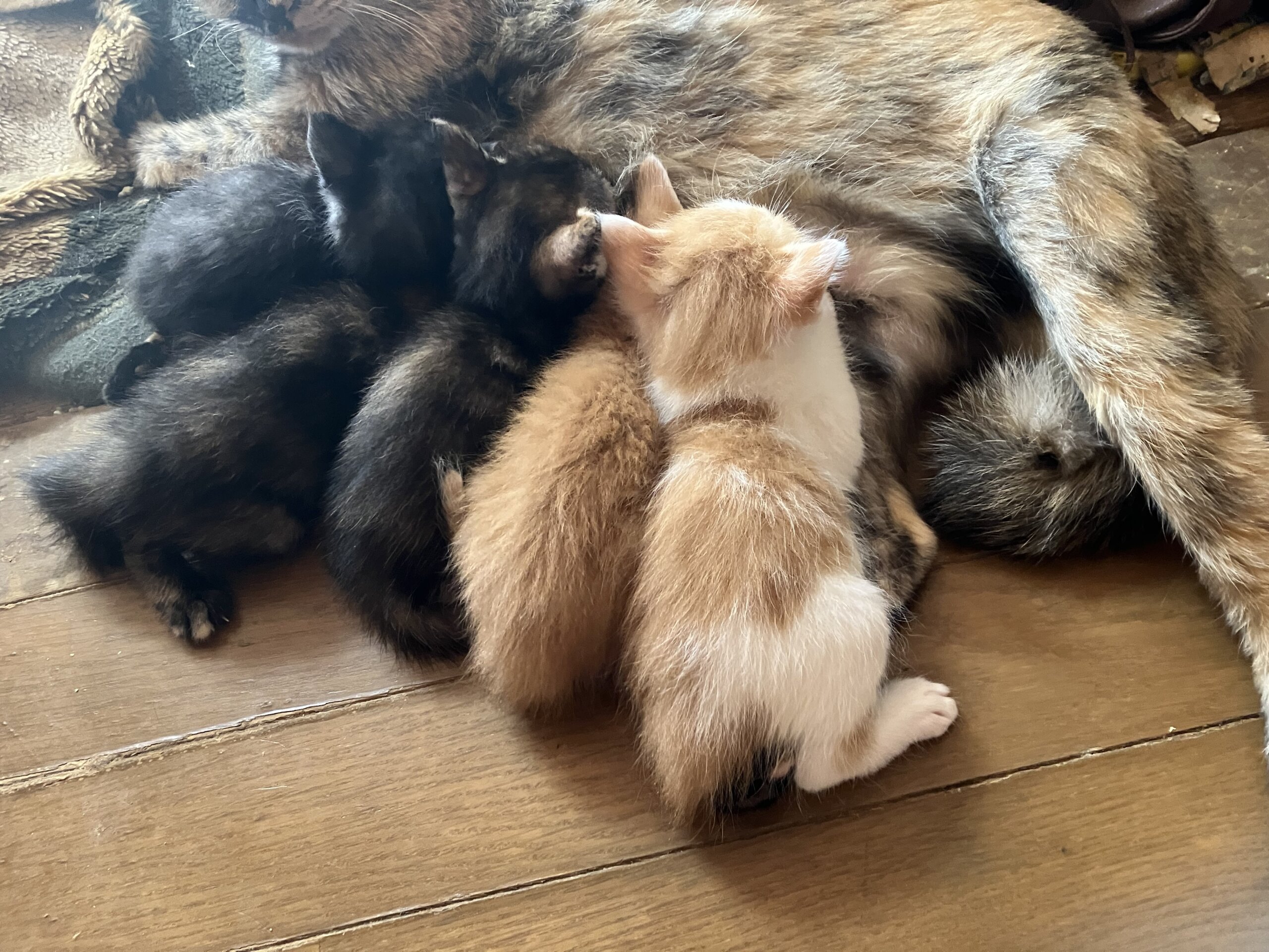 最後2〜3ヶ月くらいの子達