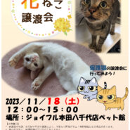花ねこ譲渡会（ジョイフルホンダ八千代店ペット館）