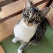 素直でお茶目で優しい！スリゴロなミコちゃん♡