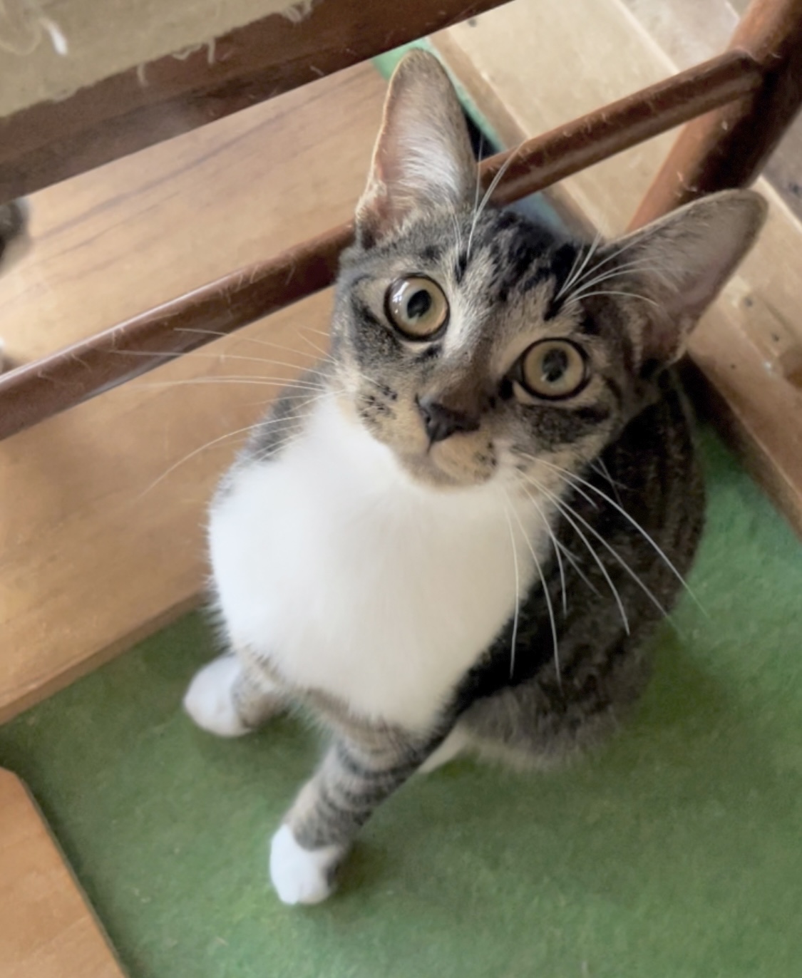 素直でお茶目で優しい！スリゴロなミコちゃん♡