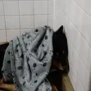 怖くてビビリな男の子です