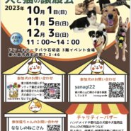 12月3日 犬と猫の合同譲渡会