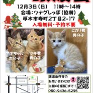 ツムグッポ小さな譲渡会