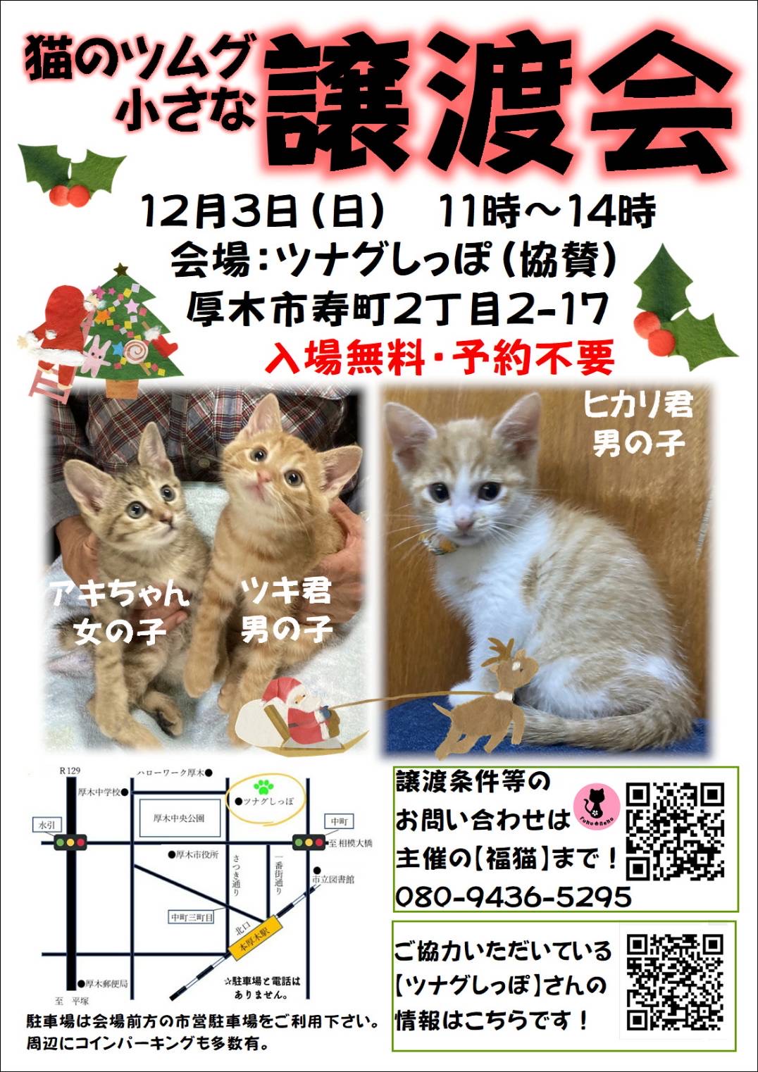 ツムグッポ小さな譲渡会