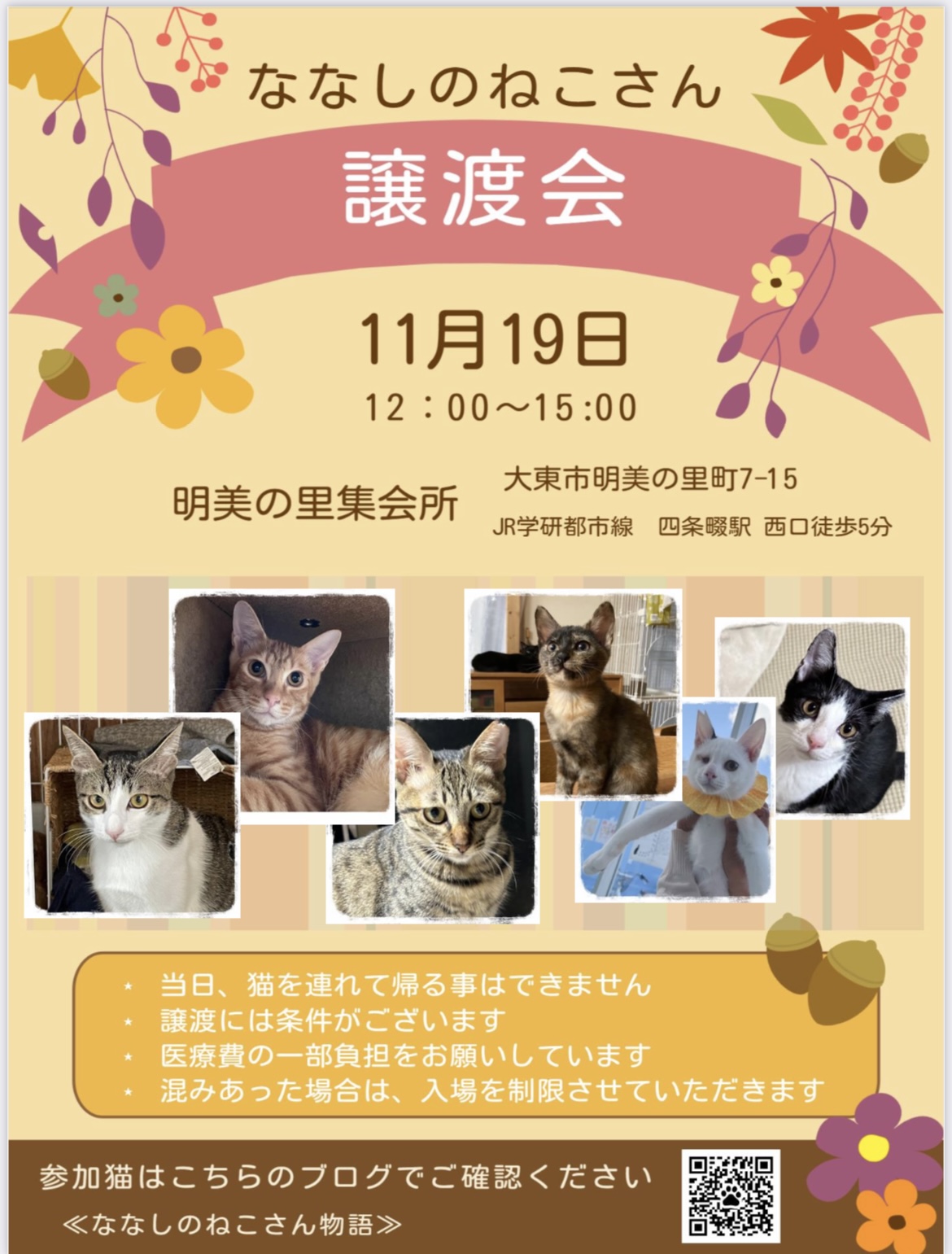 11月19日　ななしのねこさん譲渡会