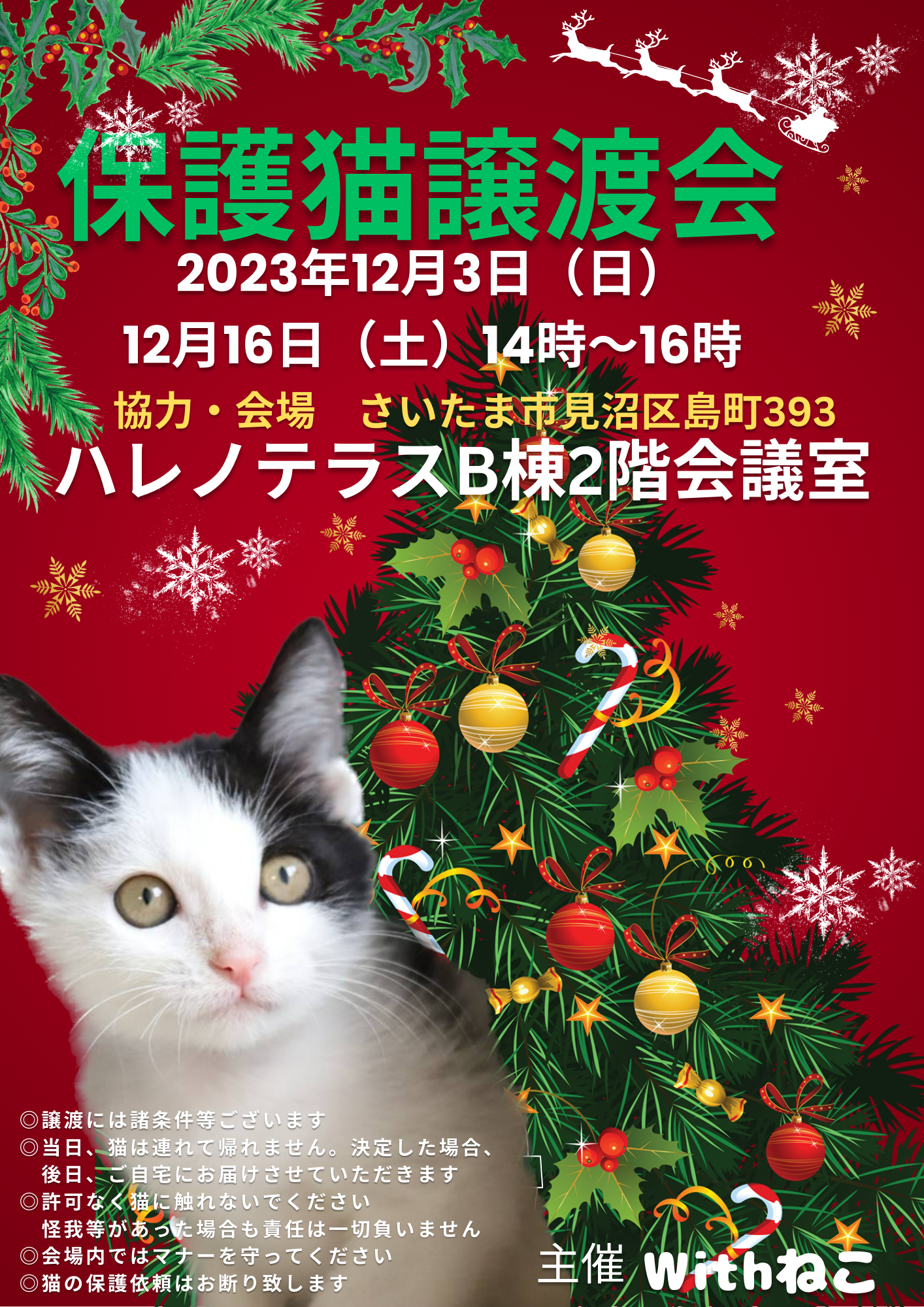 12/3（日）ハレノテラス保護猫譲渡会【さいたま市】