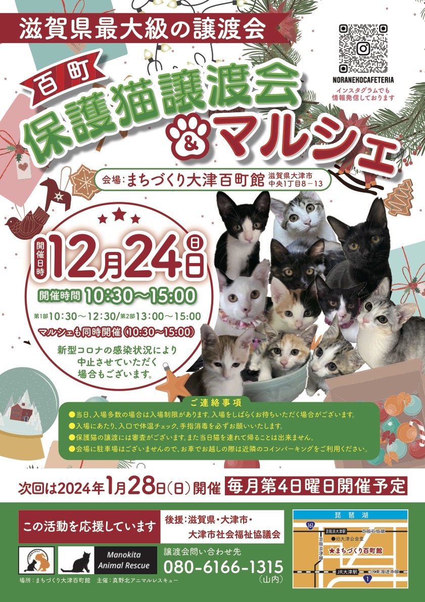 百町保護猫譲渡会＆マルシェ