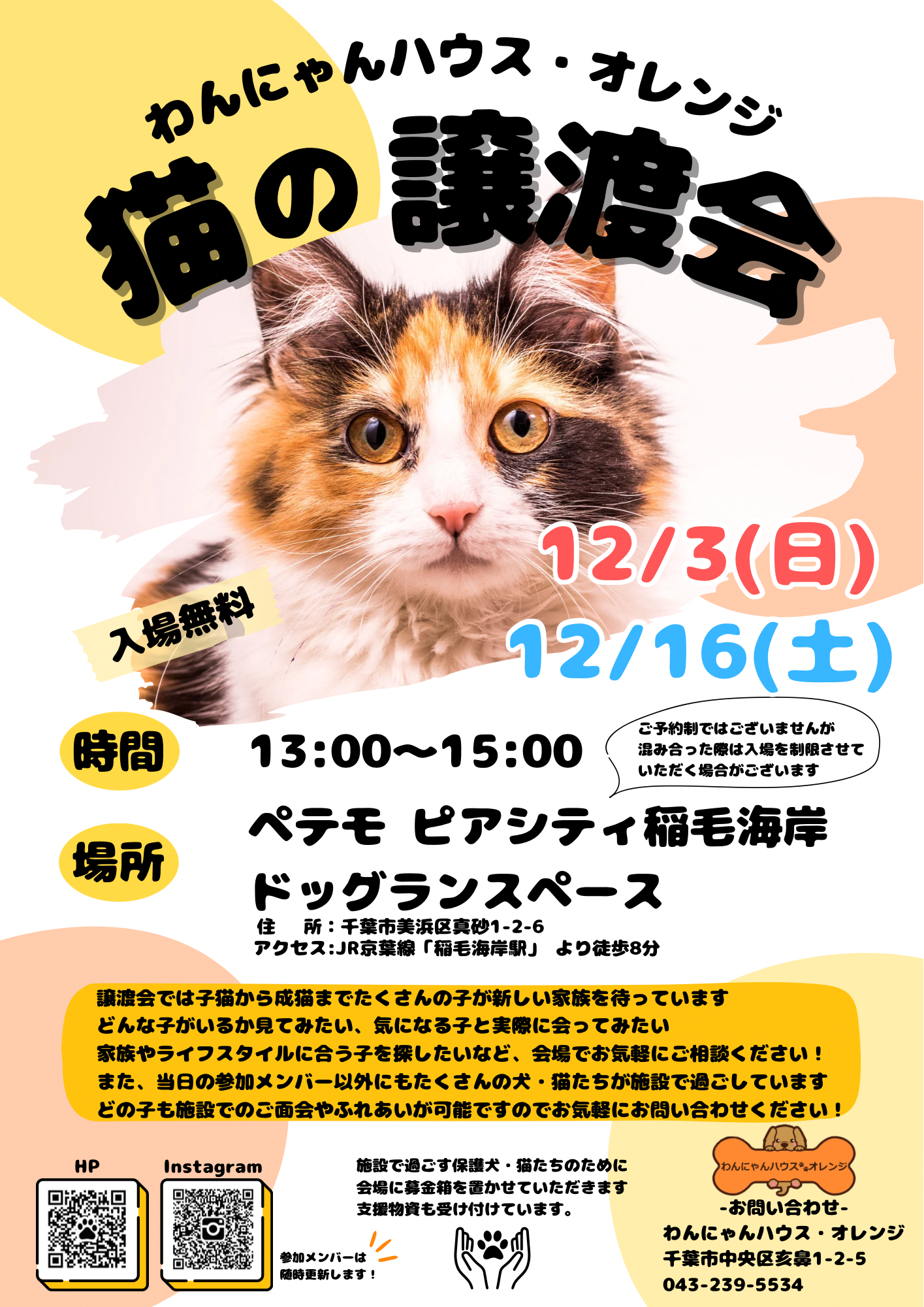 わんにゃんハウス・オレンジ★猫の譲渡会