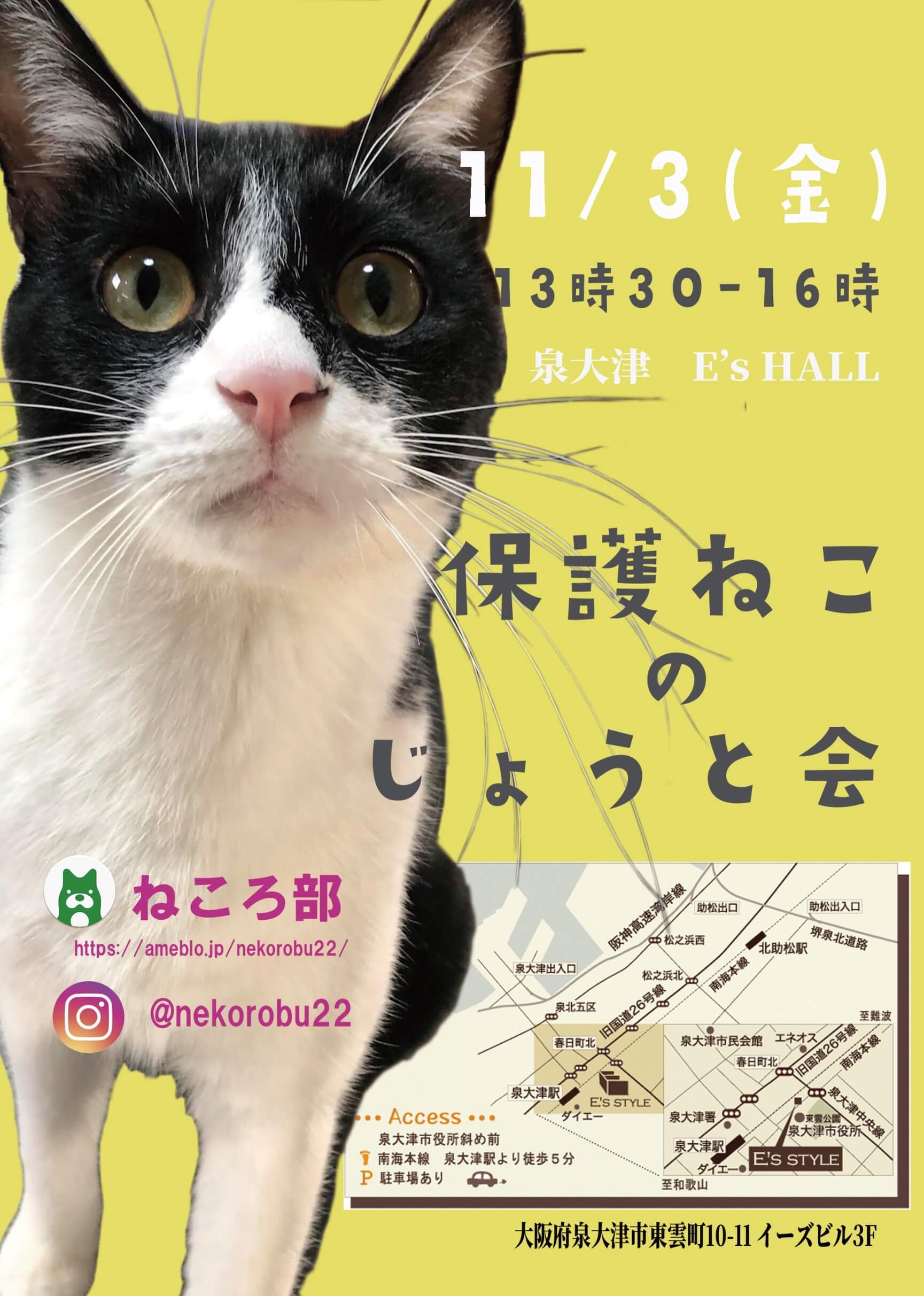 保護ねこの譲渡会