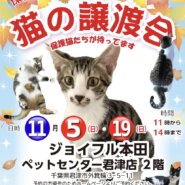 【千葉県 君津市】猫の譲渡会