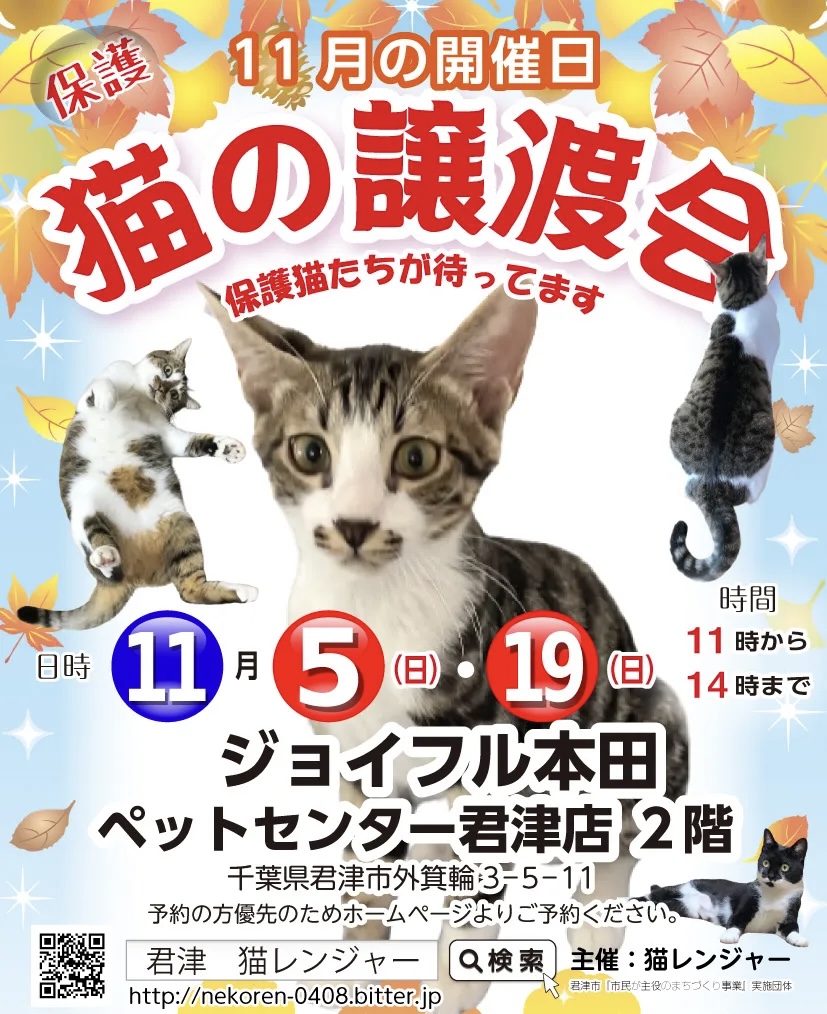 【千葉県 君津市】猫の譲渡会