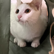 素敵なご縁がありました。