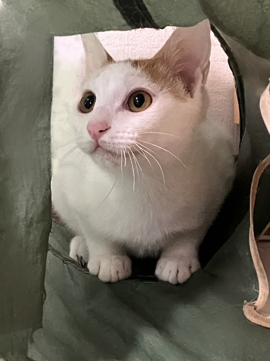 素敵なご縁がありました。