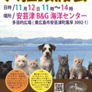 犬猫譲渡会