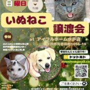 譲渡会 at アイフルホーム水戸店