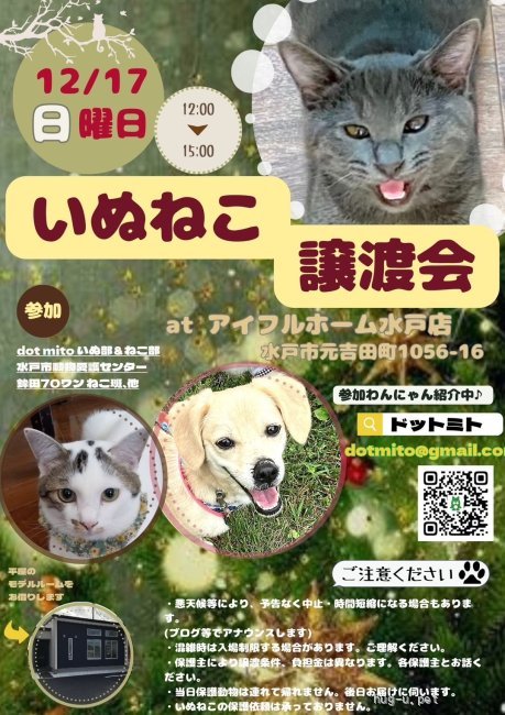 譲渡会 at アイフルホーム水戸店