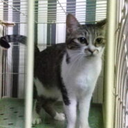 はるな嬢。無邪気な愛敬むすめ。