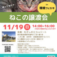 むさしの地域猫の会　譲渡会