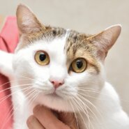 まりお君。無邪気な箱入りボーイ。