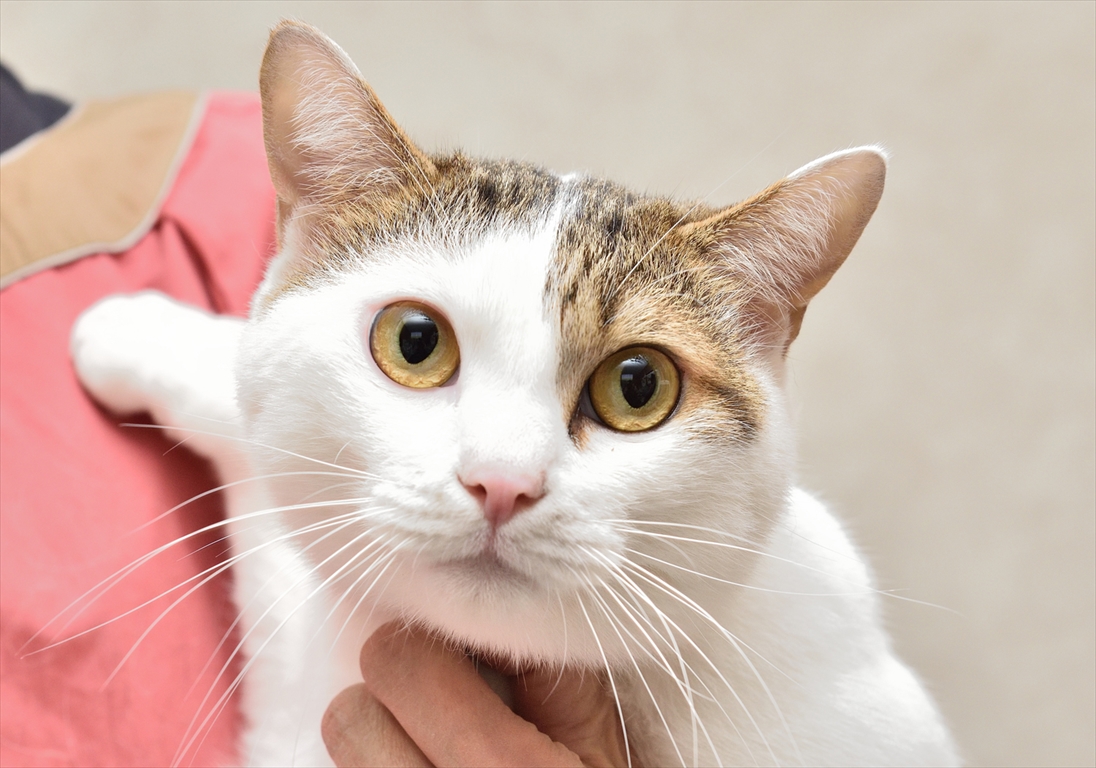 まりお君。無邪気な箱入りボーイ。