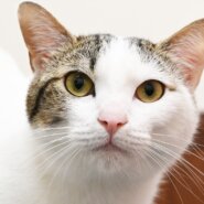 まりと君。無邪気な箱入りボーイ。