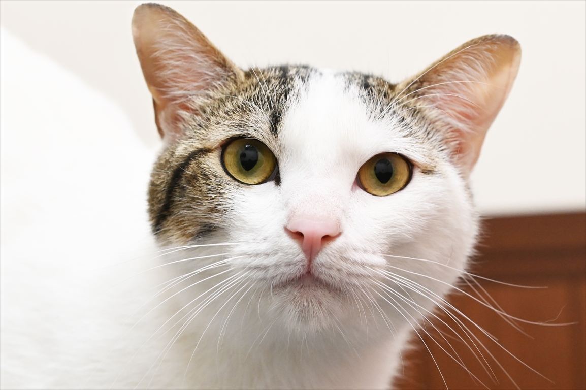 まりと君。無邪気な箱入りボーイ。