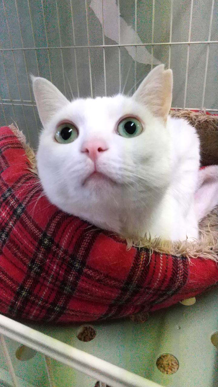 ゆきと君。素直で優しいハンサムボーイ。