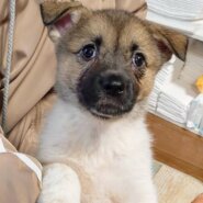 香川県【代理投稿】アクティブなもなかちゃん