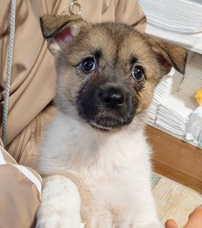 香川県【代理投稿】アクティブなもなかちゃん