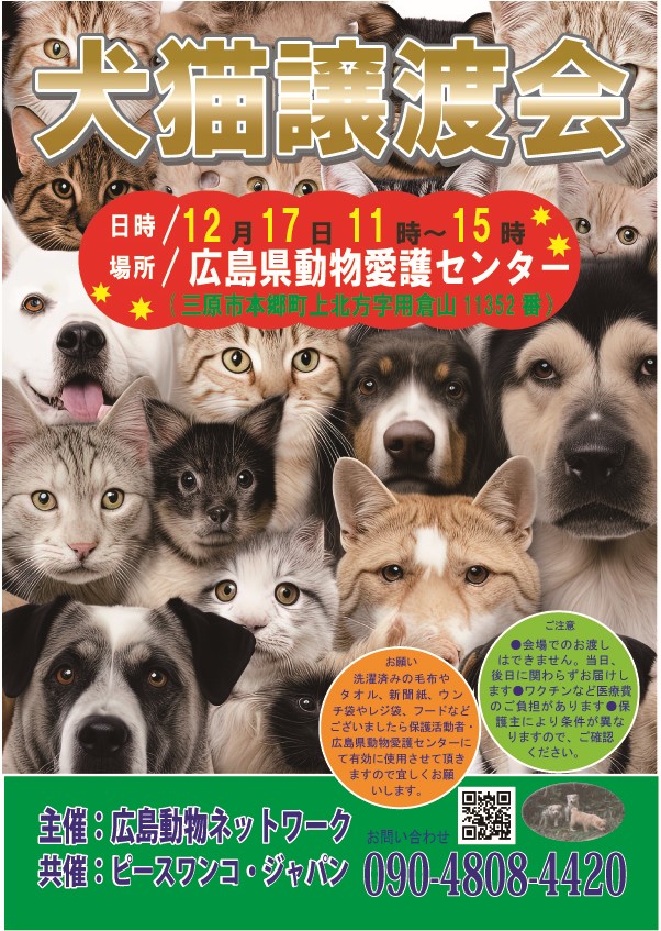 犬猫譲渡会