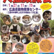 犬猫譲渡会