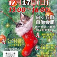 保護猫のふれあい会