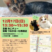 ねこチュー第22回猫の譲渡会