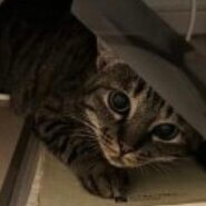 人が大好きスリゴロ女の子