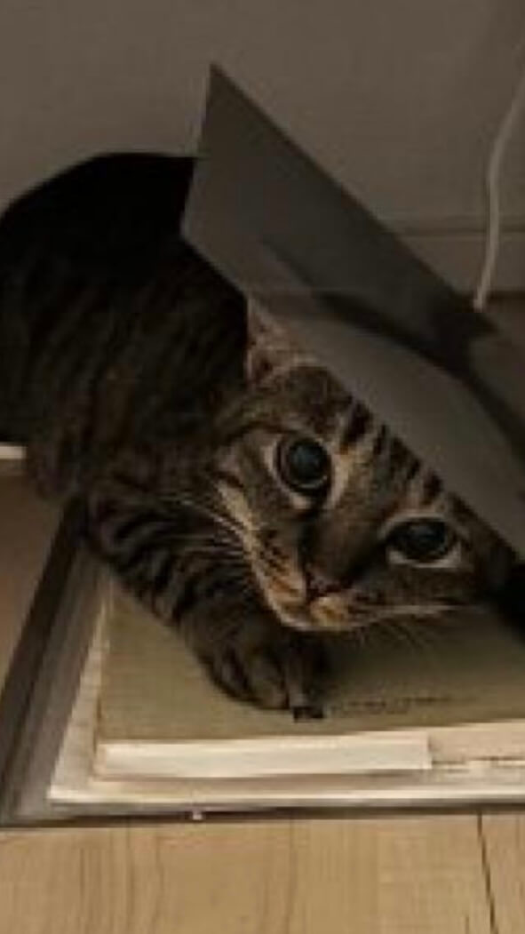 人が大好きスリゴロ女の子