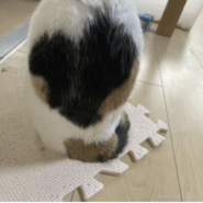 ハート柄💓小柄で美人なおだやか女の子