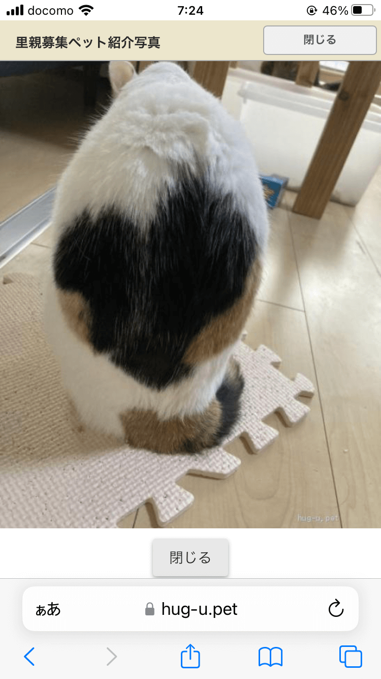 ハート柄💓小柄で美人なおだやか女の子