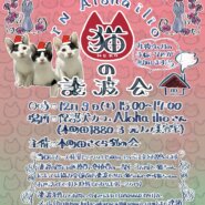 町田市保護犬カフェでの保護猫譲渡会