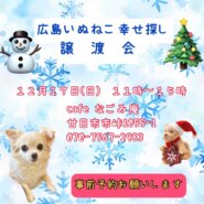 年末最後の譲渡会