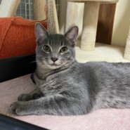 【六つ子ちゃん】まん丸お目目の控えめ男子